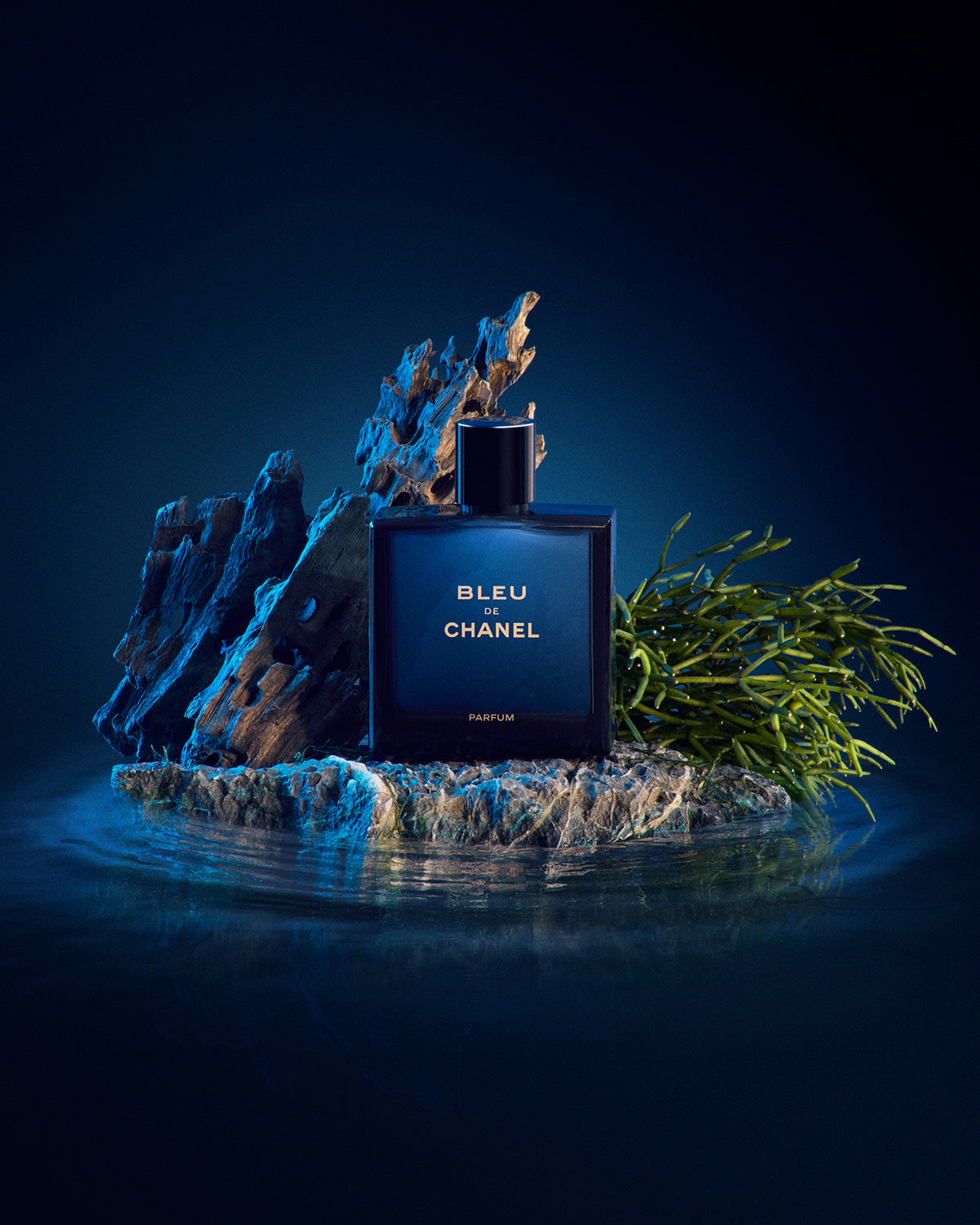 Bleu de Chanel 100ML