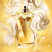 DL Gaultier Divine