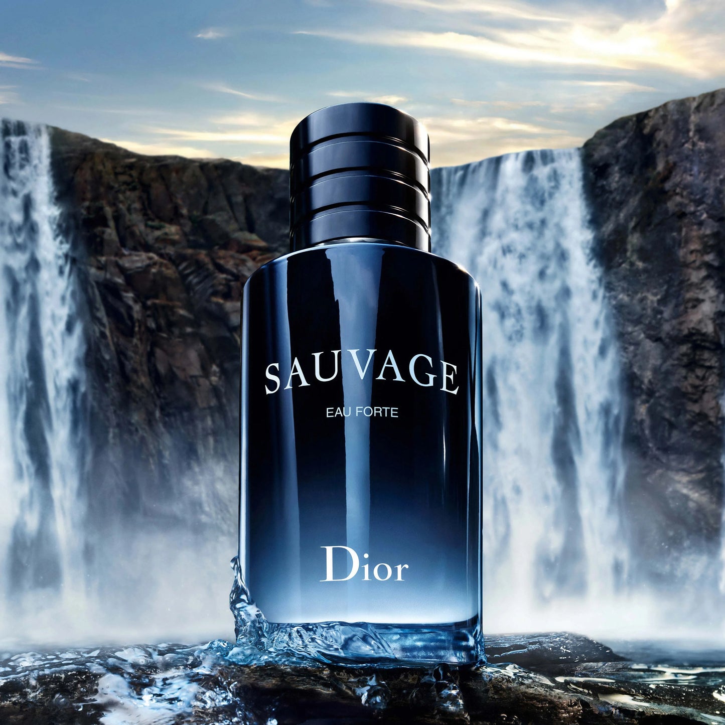 Dior Christian Sauvage (France Edition)