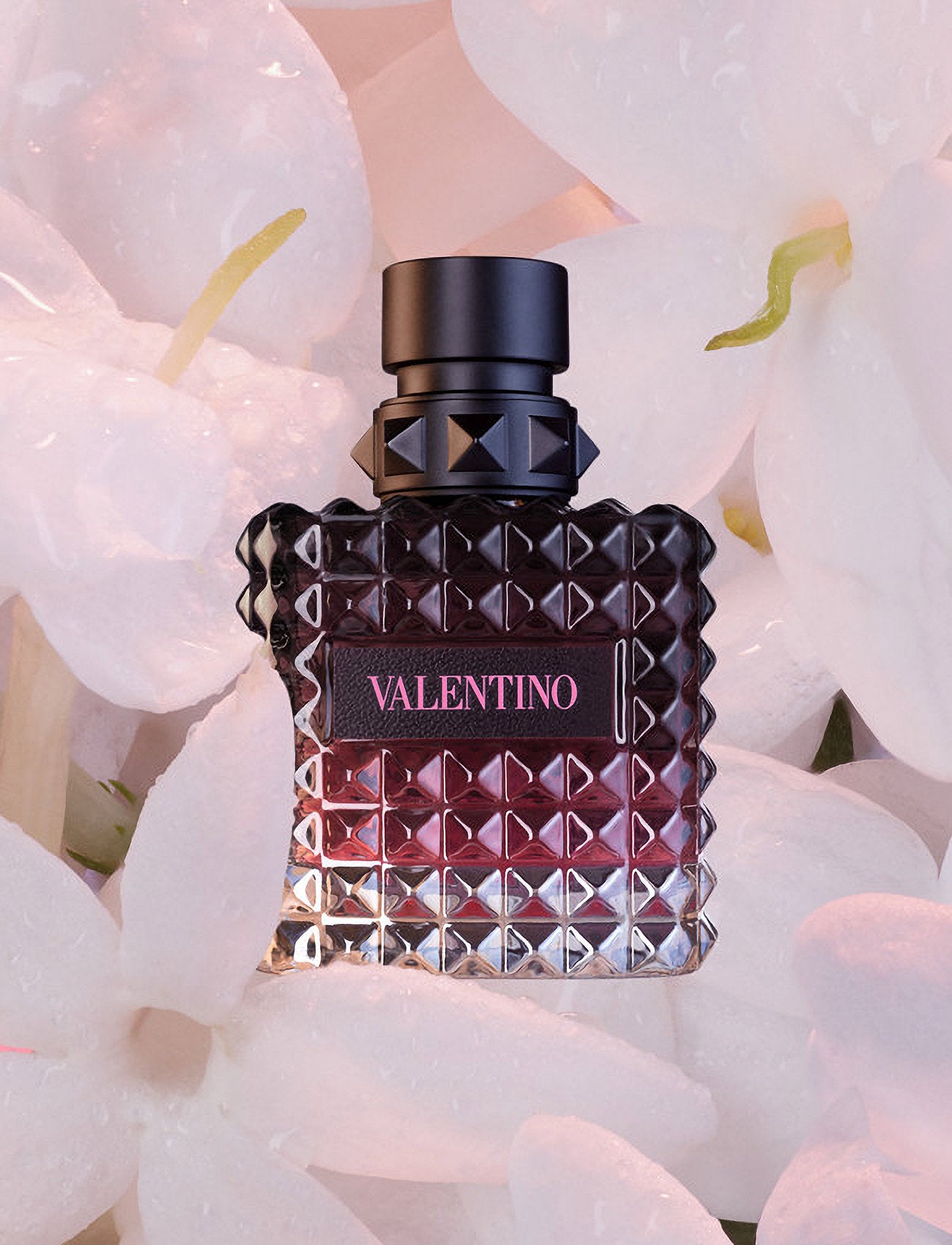 DL Valentino