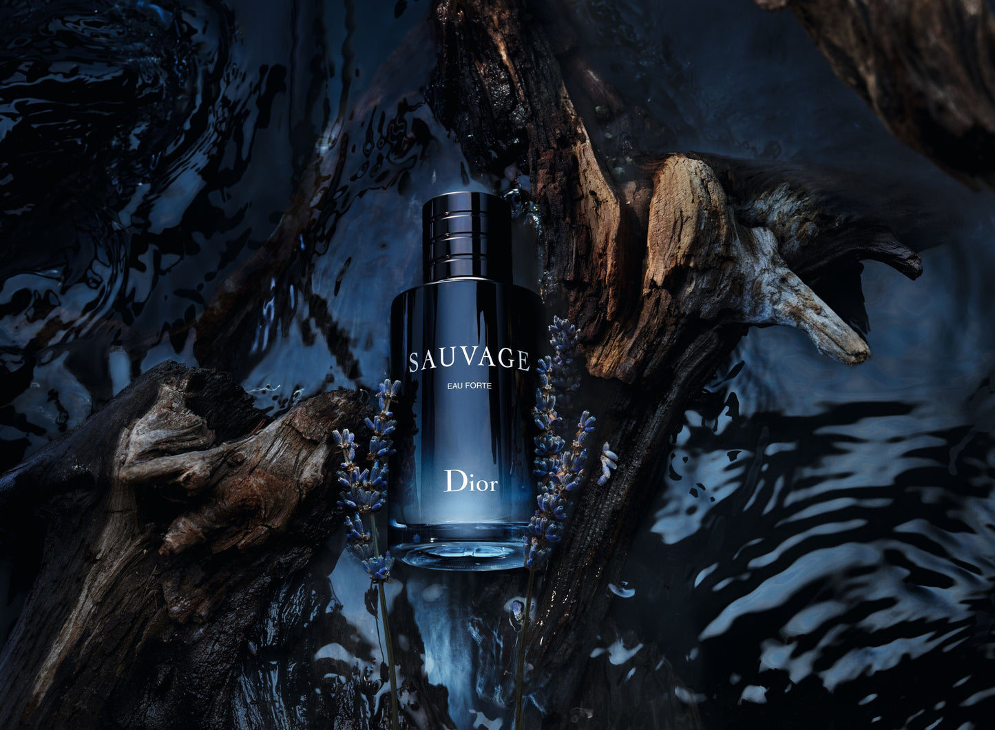 Dior Christian Sauvage (France Edition)