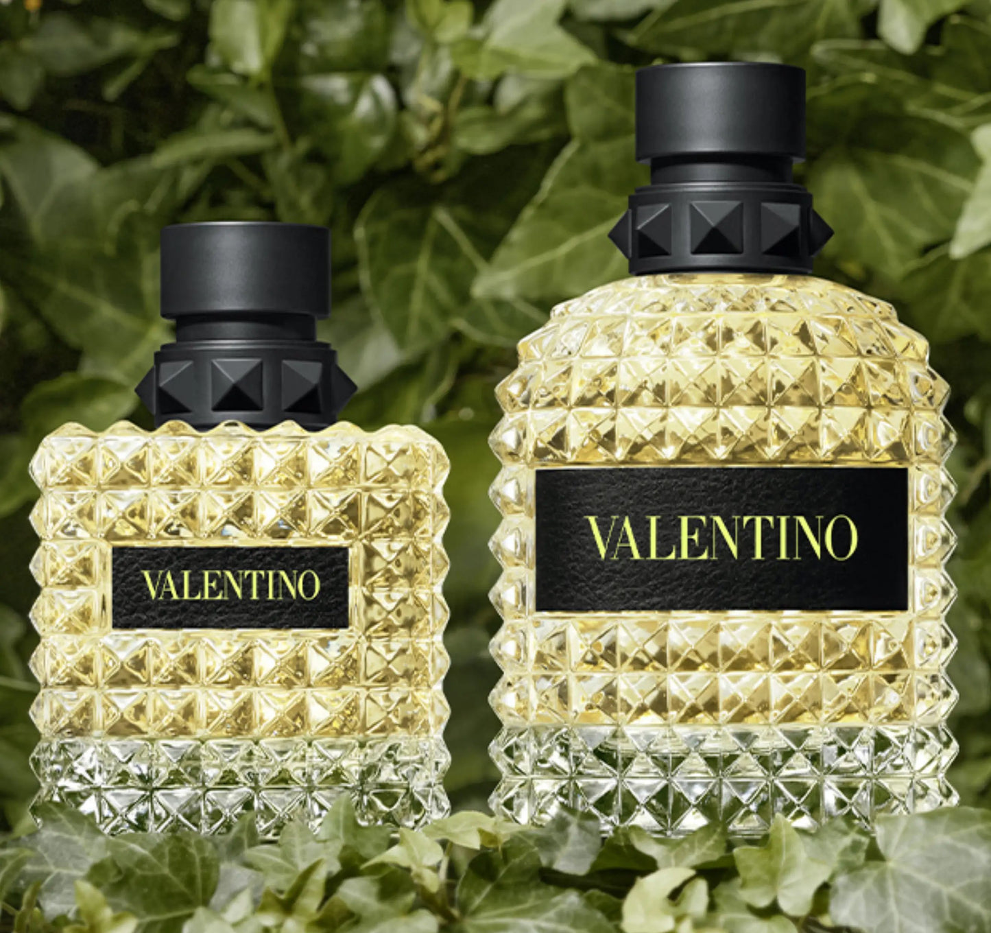 DL Valentino Yellow Dream