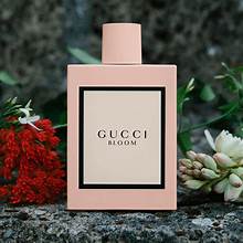DL Gucci Bloom